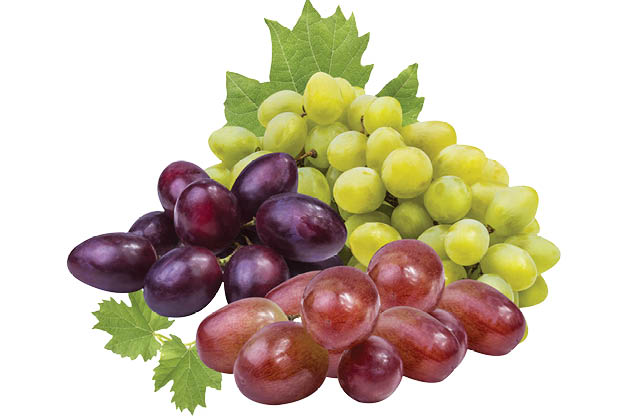 Red, Green or Black Seedless Grapes