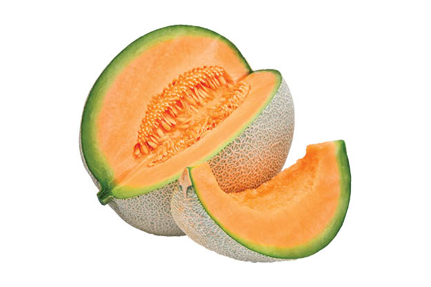 Cantaloupe