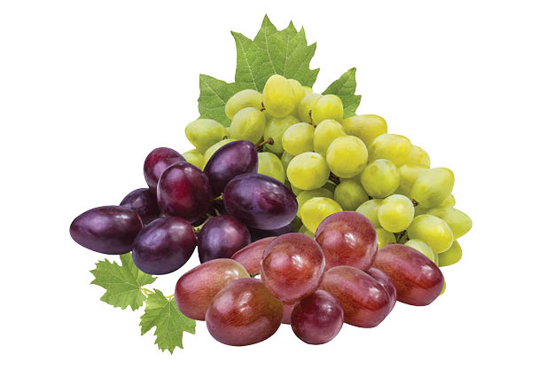 Large Red, Black or White Seedless Grapes 