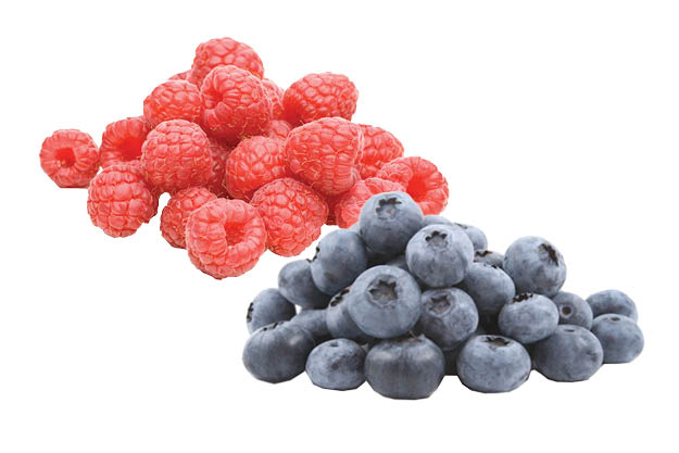 Rasberries or Blueberies 