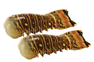Large Lobster Tails
