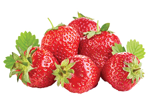 Red Ripe Strawberries 