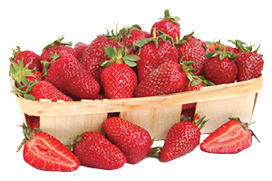 Red Ripe Strawberries 