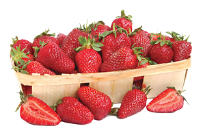 Red Ripe Strawberries 