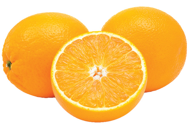 Navel Oranges 