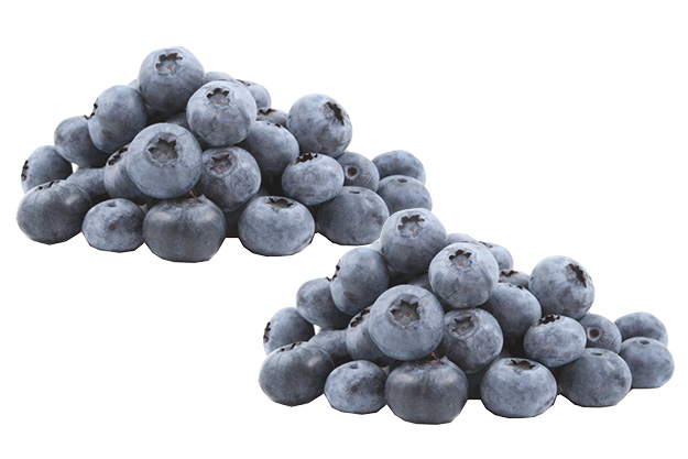 Blueberries