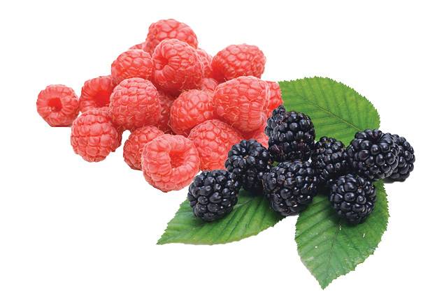 Blackberries & Raspberries