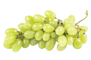 White Seedless Grapes 