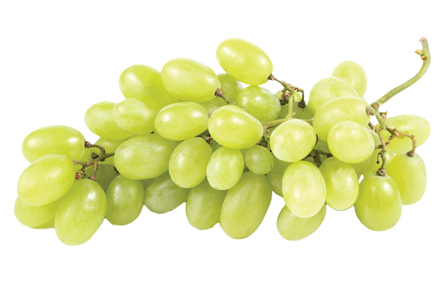 White Seedless Grapes