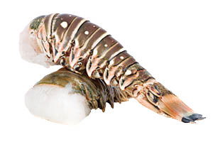 Large Lobster Tails 