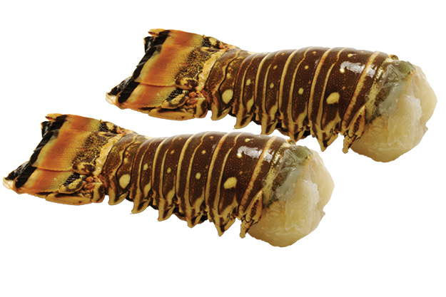 Large Lobster Tails 