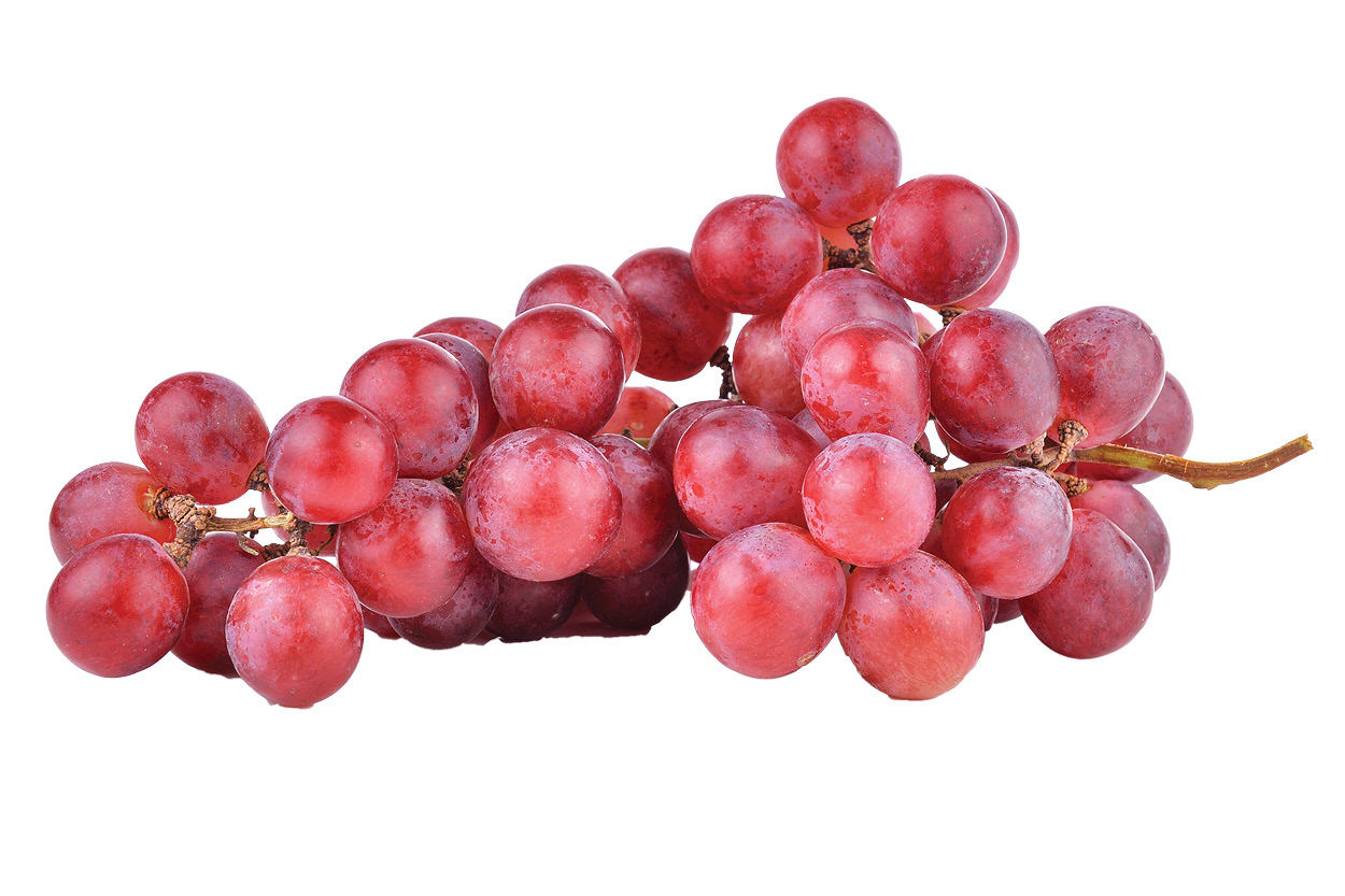 Red Seedless Grapes 