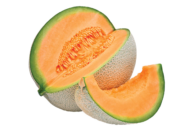 Cantaloupe