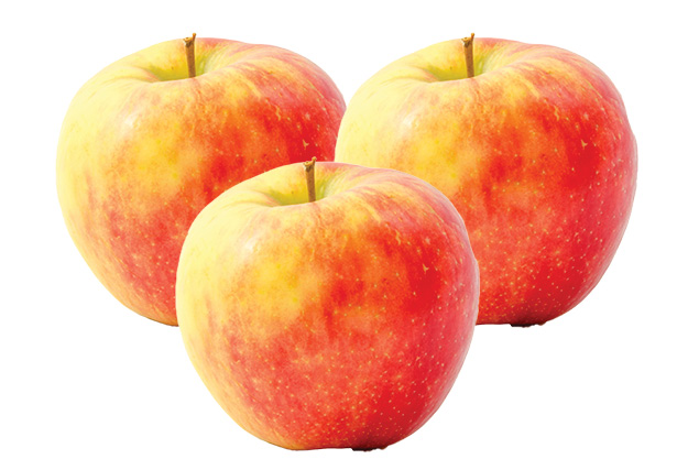 Honeycrisp Apples 